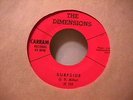 THE DIMENSIONS Surfside Grand Rapids Michigan Fenton garage CARRAM