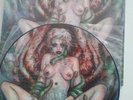 Cannibal Corpse , Worm Infested Picture Vinyl  rar