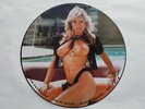 SAMANTHA FOX INTERVIEW PICTURE DISC UK