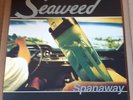 Seaweed - Spanaway LP 12