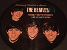 The Beatles Souvenir of Their Visit to America Picture Disc VJ 7