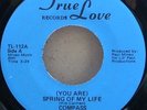 Compass   (You Are) Spring Of My Life USA 7