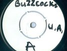 BUZZCOCKS orgasm addict UK 1977 7