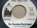 THE CHOCOLATE WATCH BAND SWEET YOUNG THING 7