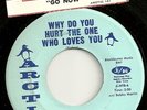 HONEY AND THE BEES Why Do You Hurt The One Who Loves You Arctic Northern Soul 45
