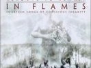 IN FLAMES - Reroute to remain    Orig.LP   2002