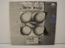 SATIN WHALE -Desert Places- BRAIN METRONOME RECORDS / GERMANY