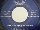 RAINDROPS- Love Is Like A Mountain 45- Corsair #104- Rare Doo-Wop-1st Pressing