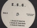 E.S.G. - Braids N Faids/ Jumpin On It/ Shinin N Grindin 12