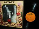 SUPER RARE PRIVATE 1971 ORIG   COYOTE   TWISTED HARD HIPPIE Psych ACID LYRICS 