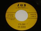 THE PLANTS Dear I Swear J&S 1602 Orig 1st PRESSING 1957 DooWop 45 RARE