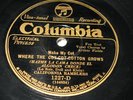 78rpm jazz record in E++ Columbia 1227 California Ramblers NY 1920's.