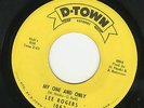 NORTHERN DETROIT ORIGINAL  LEE ROGERS  MY ONE AND ONLY  D-TOWN  EXCELLENT COPY