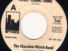 HEAR Chocolate Watch Band-Sweet Young Thing/Baby Blue '66 CA punk snarler