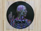 Tool - Lateralus 6 Track US PROMO Picture Disc Vinyl LP mint Puscifer