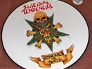 Suicidal Tendencies Possessed To Skate Picture Disc Import NYHC METALLICA SLAYER