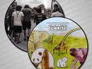 Cinematic Sunrise A Coloring Storybook and Long Playing Record Picture Disc LP
