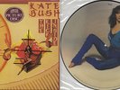 Rare Limited Edition Kate Bush The Kick Inside Picture Disc Vinyl LP  Neu