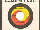 TOMMY VANN & PROFESSIONALS RARE MOD PSYCH FUZZ BEAT FOR GOODNESS SAKE