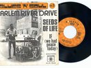 HARLEM RIVER DRIVE Seeds of life top LATIN Funk 7