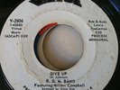 SWEET SOUL ....R.D.M BAND (VIRTUE)