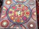 THE WEB - Fully Interlocking LP Uk Psych Fuzz OG DERAM