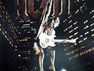 AC/DC - Stiff upper Lip - rare Vinyl LP