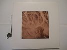 USE OF ASHES Firetree 2LP TONEFLOAT TF4 with POSTER folk prog psych RARE