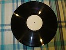 ROKY ERICKSON  TEST PRESSING LP LOVE TO SEE YOU BLEED  13 TH FLOOR ELEVATORS