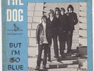 NAMELOSERS The Dog  swedish freakbeat GARAGE mod dancer psych LISTEN