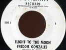 FREDDIE GONZALES Flight to the Moon TX PSYCH FUNK 45 *break* LISTEN