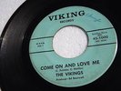 THE VIKINGS GARAGE PSYCH POP ROCK VIKING  45 RECORD