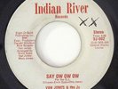 Modern Soul Disco 45 - Van Jones & The Js 