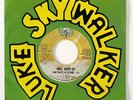 Rap 45 - MC Shy-D 