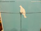 WIDESPREAD PANIC VINYL RECORD 