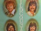 Wild Country Stereo Self Titled  LP (Rare Debut LP of Alabama Group)