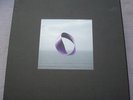 WARP20 10