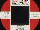 EVOLUTION Fixer Girl / Sing Me A Song (Laurie 3579) Pop Psych 45 Near Mint