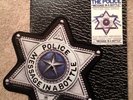 THE POLICE Message In A Bottle Limited Edition Record RARE