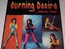 Burning Desire - Break Free LP rare michigan private metal 1987