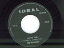 The VIROJACKS // LOVING FOOL // UNKNOWN BELGIAN FUZZ PSYCH '68 - LISTEN