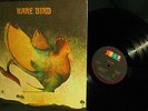 MINT ARCHIVE 1969 ORIG = 1st RARE BIRD   HAMMOND + KEYS DARK LUSH PROG Caravan