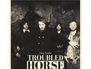 TROUBLED HORSE - STEP INSIDE  VINYL LP PSYCHEDELIC ROCK METAL NEUF