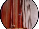 Hermann Nitsch – Das 6-Tage-Spiel Des Orgien Mysterien Theaters / Organum