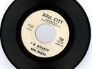 big northern soul city records rare rose brooks i'm moanin' promo 45 vinyl rpm