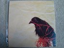 Death Cab For Cutie - Transatlanticism vinyl record on Sonic Boom Recordings