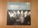 Mumford & Sons - I Will Wait 7