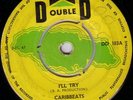 CARIBBEATS/SKINHEAD REGGAE/D DOUBLE D DD103/1967/I'LL TRY - IF I DID LOOK...RARE
