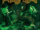 DEAD MEADOW - Feathers 2 x Vinyl LP *SEALED* 150 Gram Audiophile Matador
