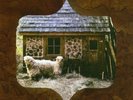 DEAD MEADOW -Howls From The Hills Vinyl LP SUPER RARE